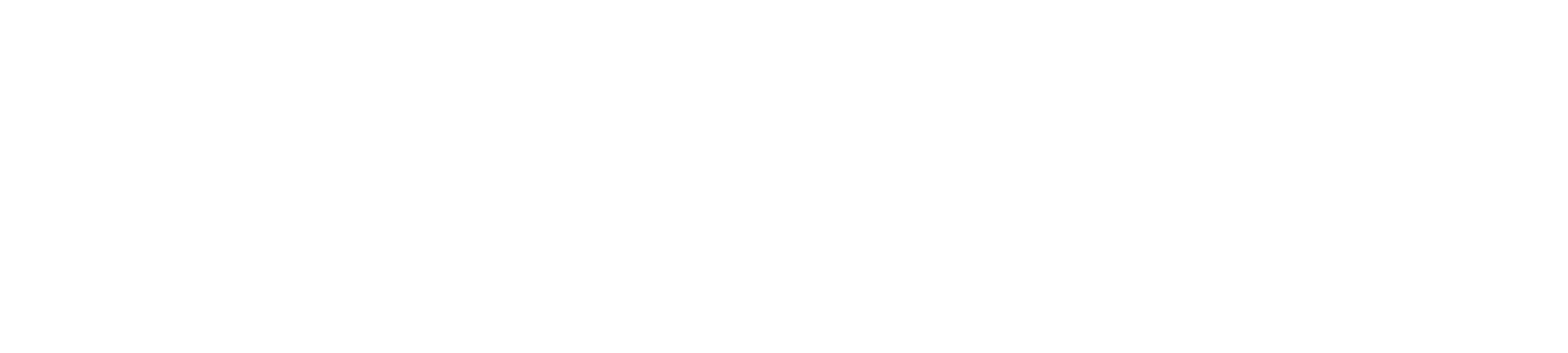 Royal Orbit Holding Group