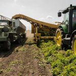 pexels-nc-farm-bureau-mark-2255801-scaled-1